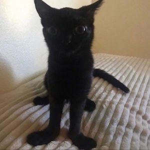 Meet your Posher, William